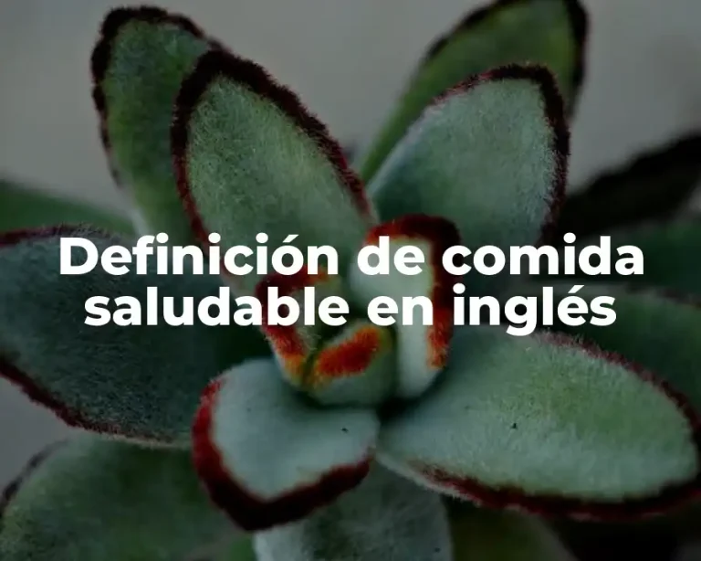 Definición de comida saludable en inglés