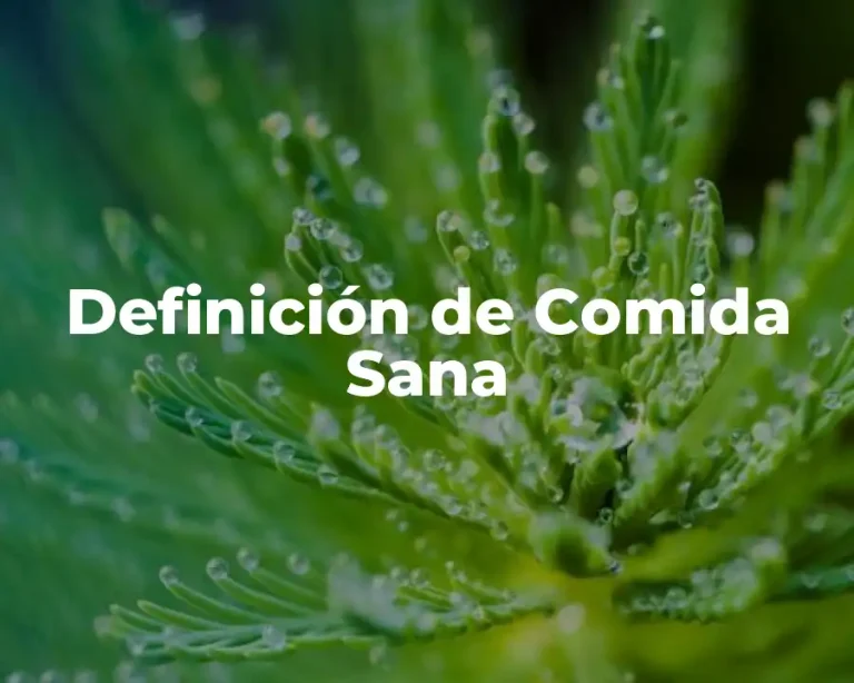 Definición de Comida Sana