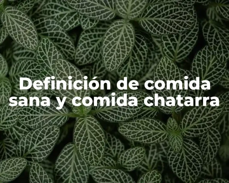 Definición de comida sana y comida chatarra