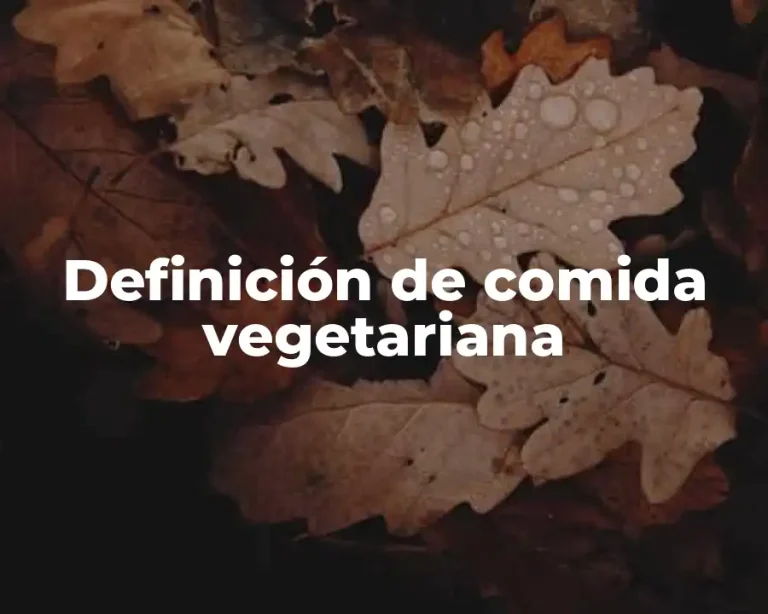 Definición de comida vegetariana