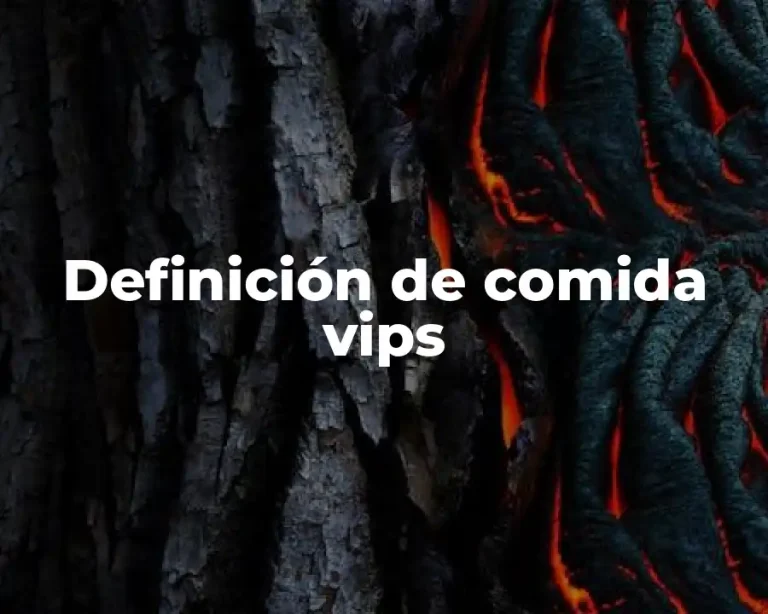 Definición de comida vips