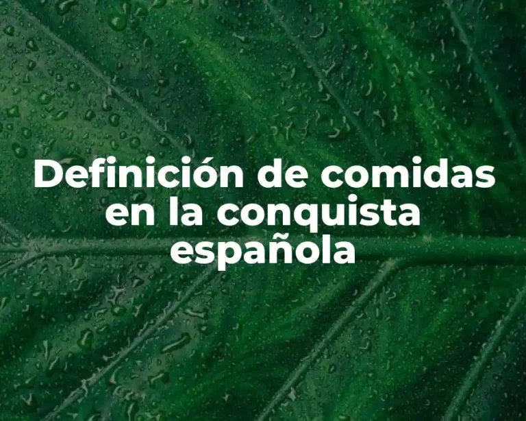Definición de comidas en la conquista española