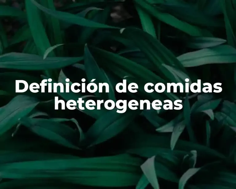 Definición de comidas heterogeneas