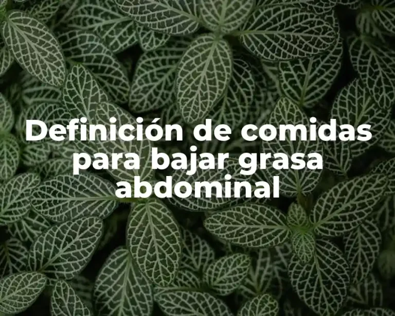 Definición de comidas para bajar grasa abdominal