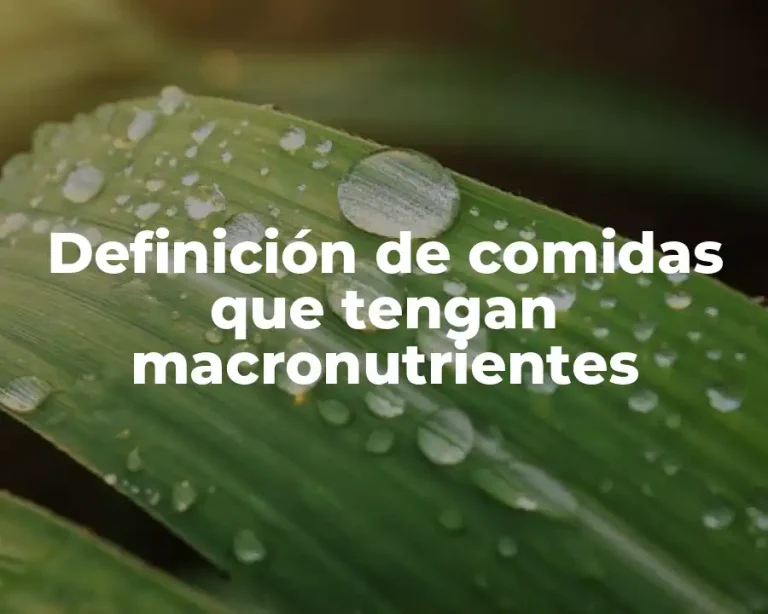 Definición de comidas que tengan macronutrientes