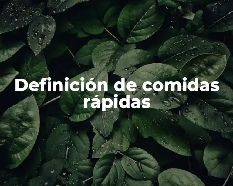 Definición de comidas rápidas