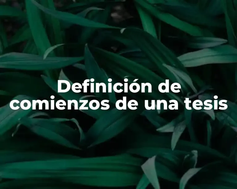 Definición de comienzos de una tesis