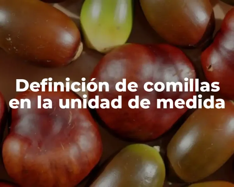 Definición de comillas en la unidad de medida