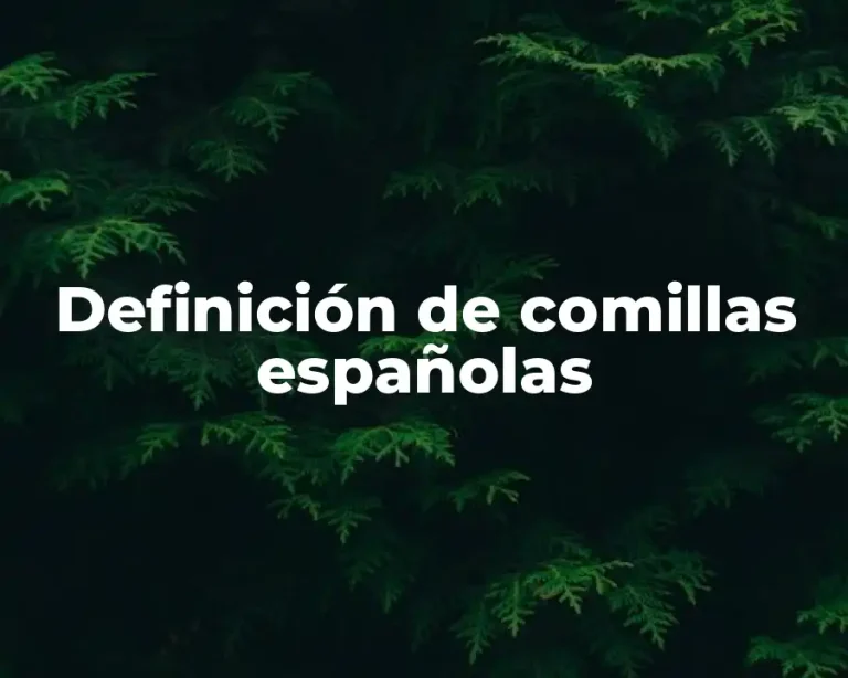Definición de comillas españolas