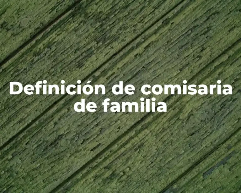Definición de comisaria de familia