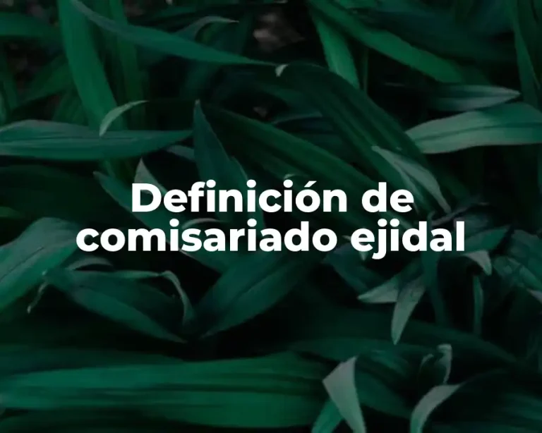 Definición de comisariado ejidal