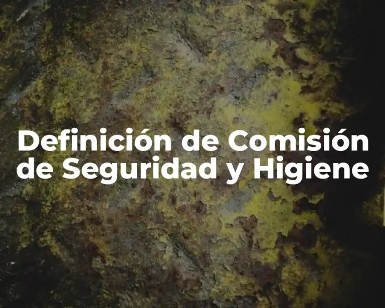 Definición de Comisión de Seguridad y Higiene