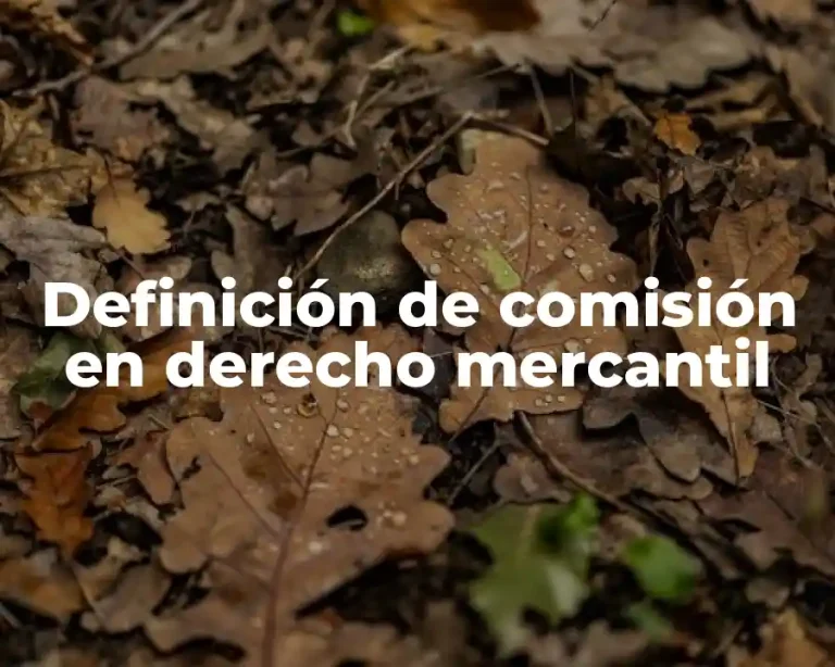 Definición de comisión en derecho mercantil