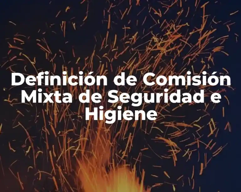 Definición de Comisión Mixta de Seguridad e Higiene