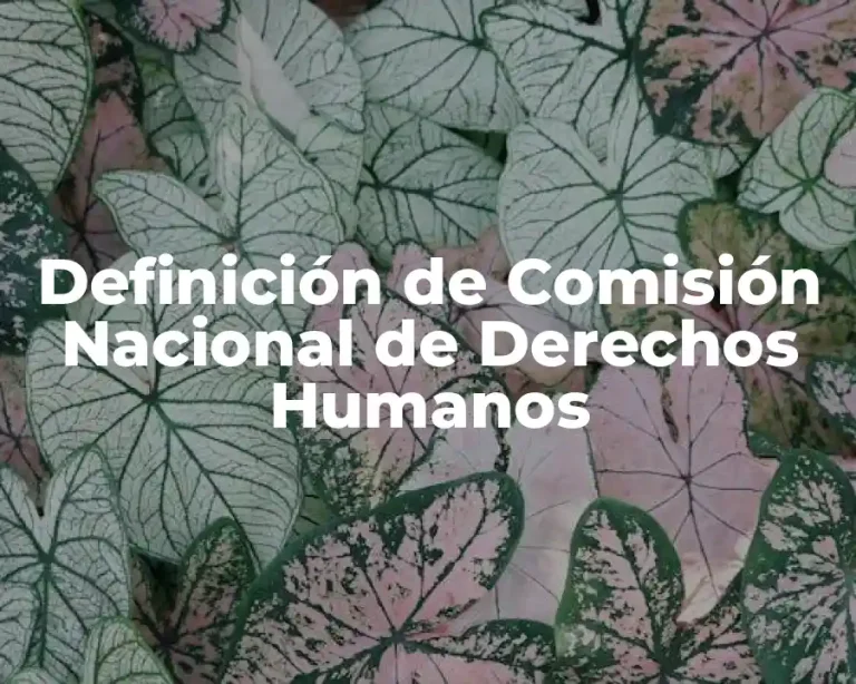 Definición de Comisión Nacional de Derechos Humanos