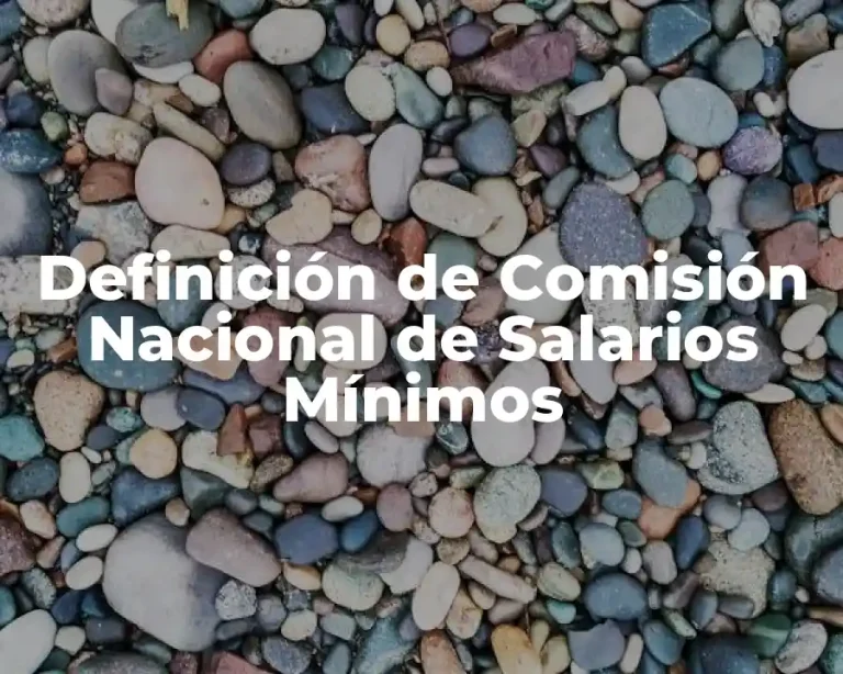 Definición de Comisión Nacional de Salarios Mínimos