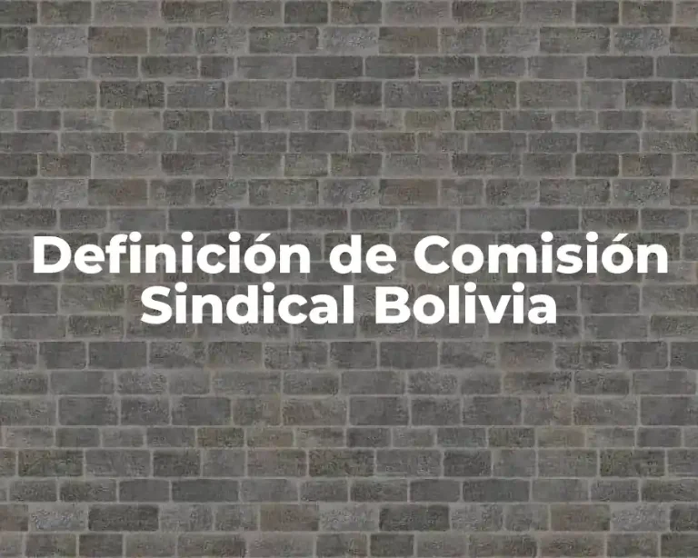 Definición de Comisión Sindical Bolivia
