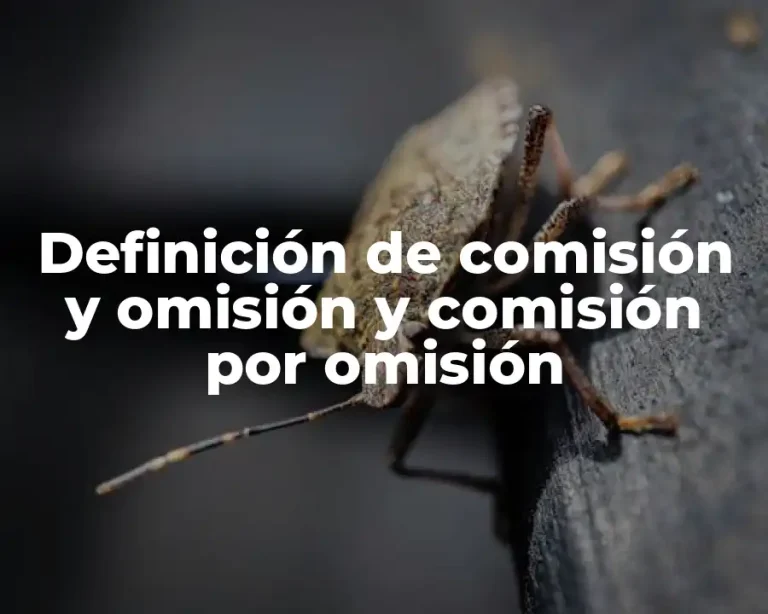 Definición de comisión y omisión y comisión por omisión