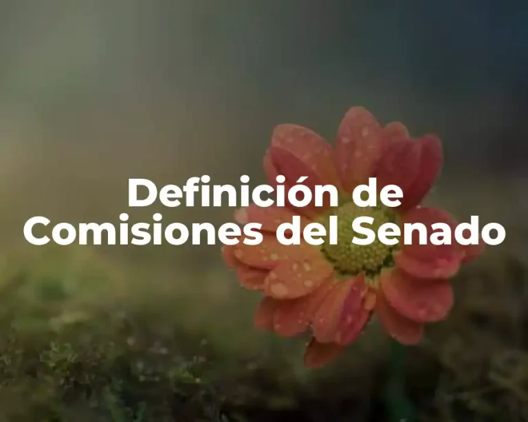 Definición de Comisiones del Senado