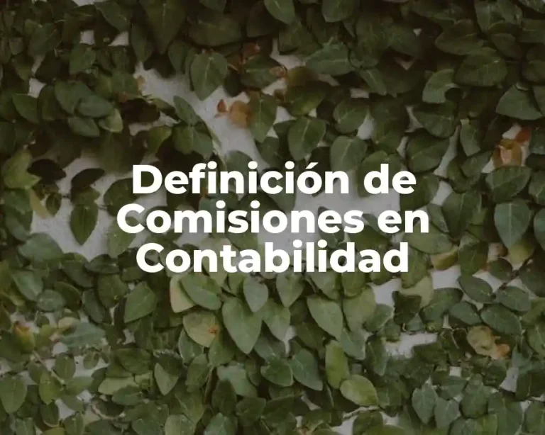 Definición de Comisiones en Contabilidad