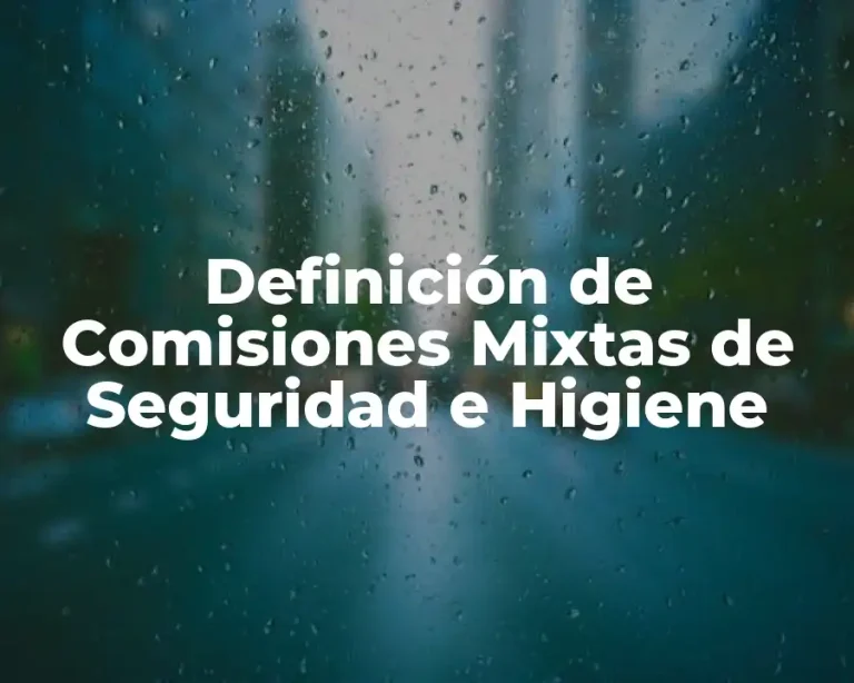 Definición de Comisiones Mixtas de Seguridad e Higiene