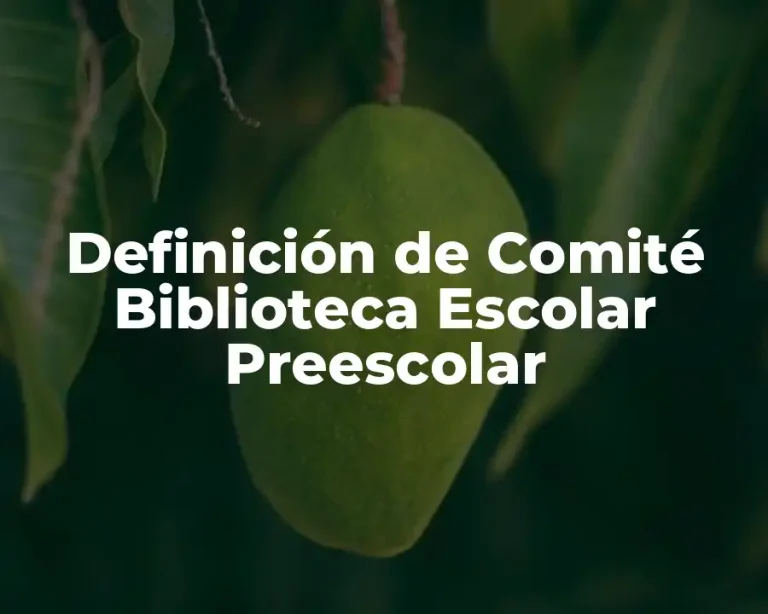 Definición de Comité Biblioteca Escolar Preescolar