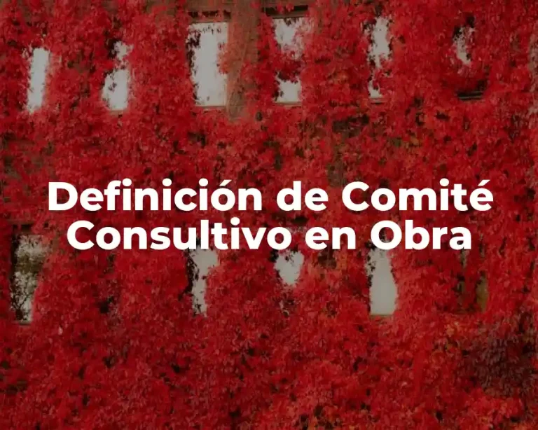 Definición de Comité Consultivo en Obra