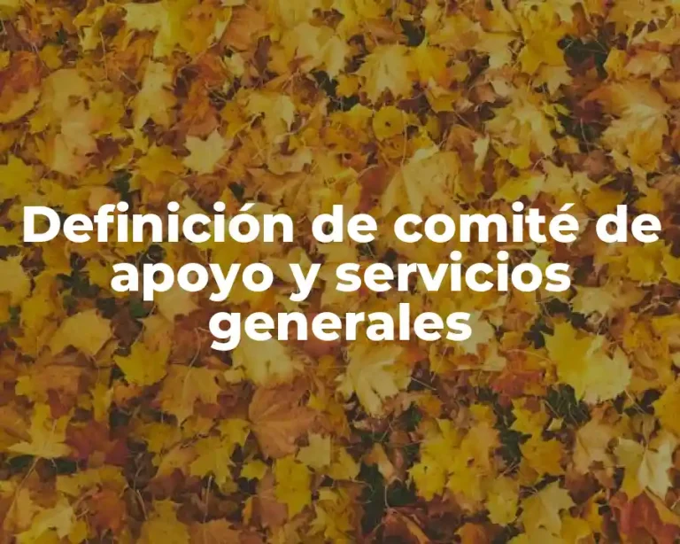 Definición de comité de apoyo y servicios generales