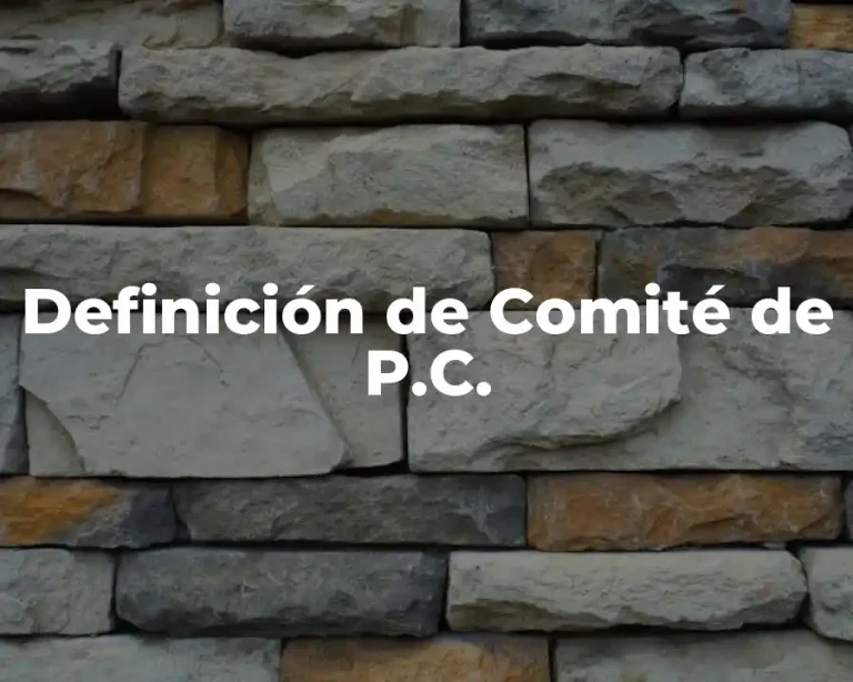 Definición de Comité de P.C.