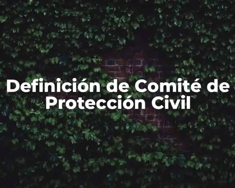 Definición de Comité de Protección Civil