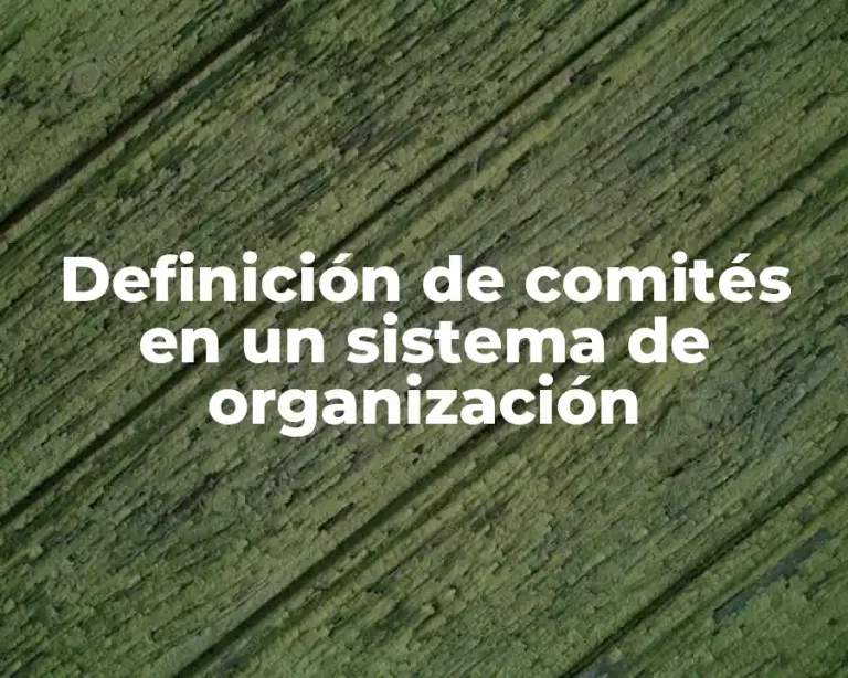 Definición de comités en un sistema de organización