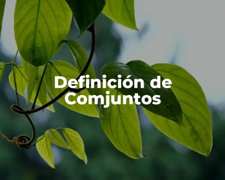 Definición de Comjuntos