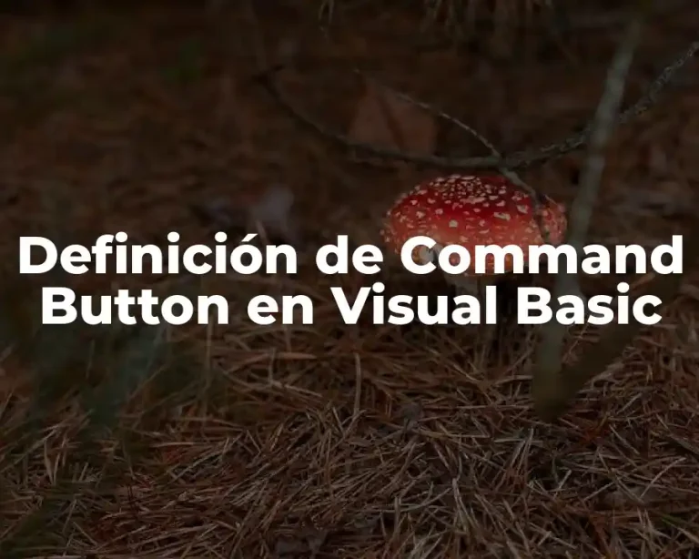 Definición de Command Button en Visual Basic
