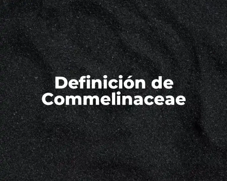 Definición de Commelinaceae
