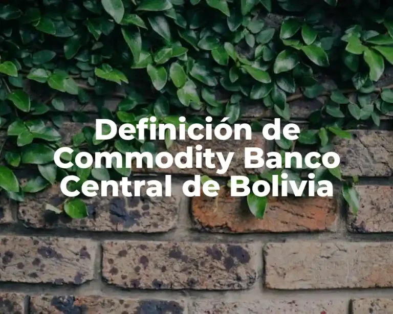 Definición de Commodity Banco Central de Bolivia