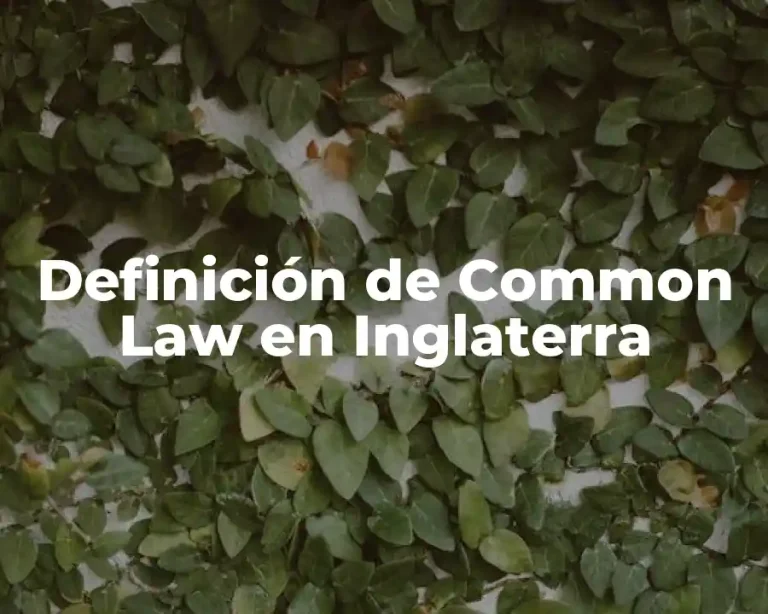 Definición de Common Law en Inglaterra