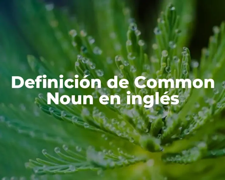 Definición de Common Noun en inglés