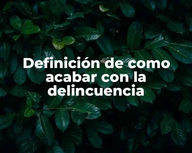 Definición de como acabar con la delincuencia