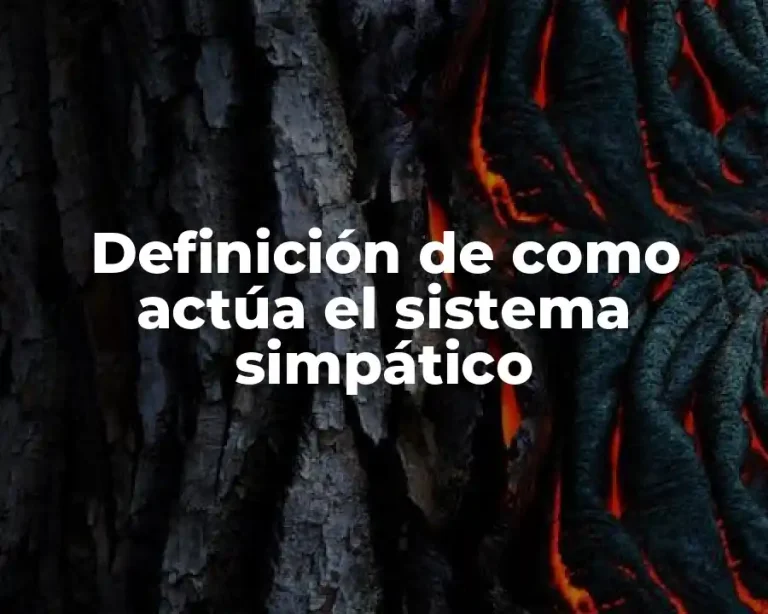 Definición de como actúa el sistema simpático