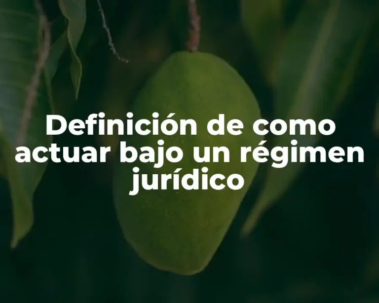 Definición de como actuar bajo un régimen jurídico