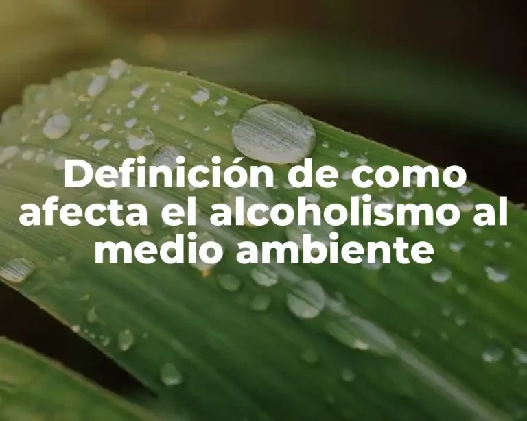 Definición de como afecta el alcoholismo al medio ambiente