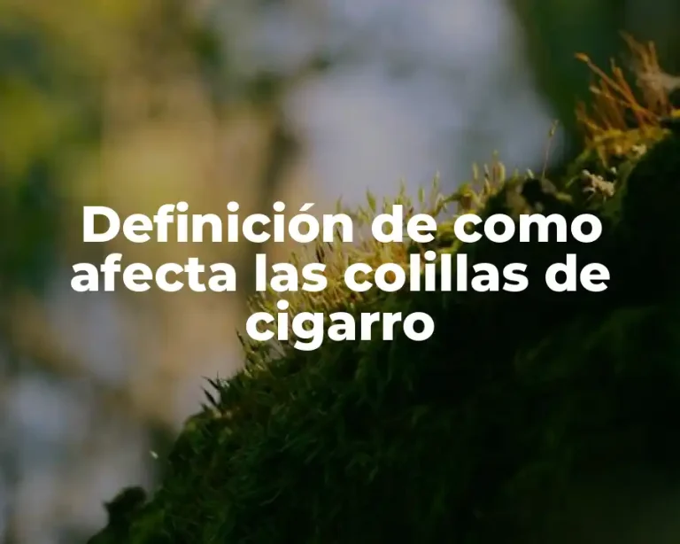 Definición de como afecta las colillas de cigarro