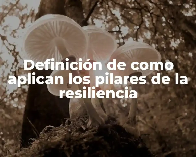 Definición de como aplican los pilares de la resiliencia