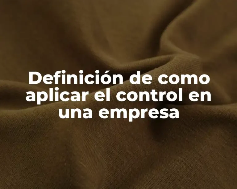 Definición de como aplicar el control en una empresa