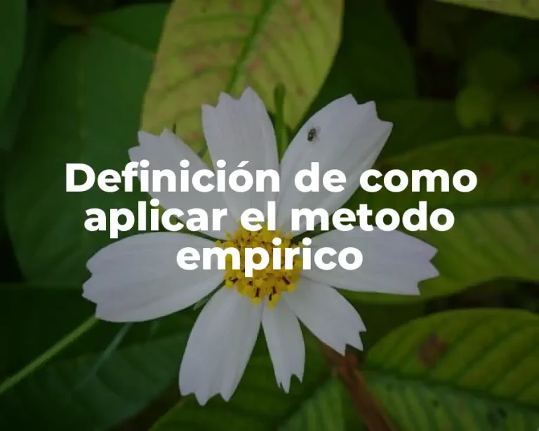 Definición de como aplicar el metodo empirico