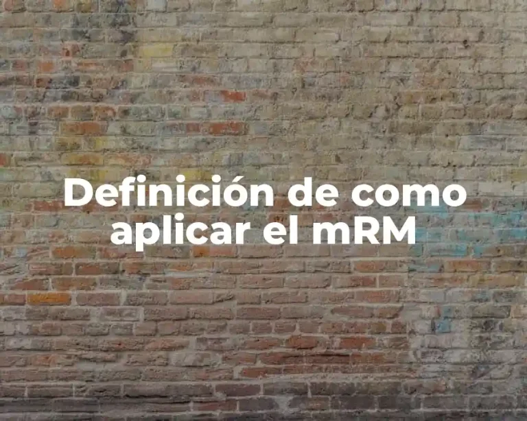 Definición de como aplicar el mRM
