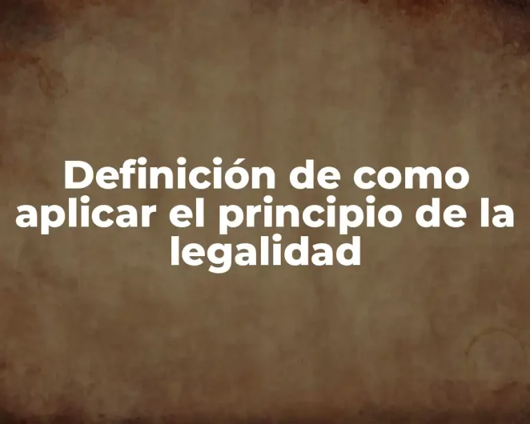Definición de como aplicar el principio de la legalidad