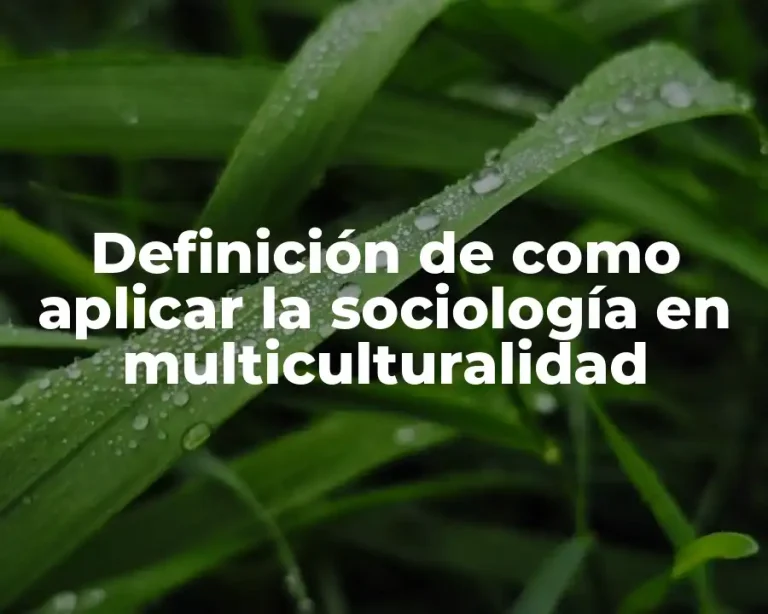 Definición de como aplicar la sociología en multiculturalidad