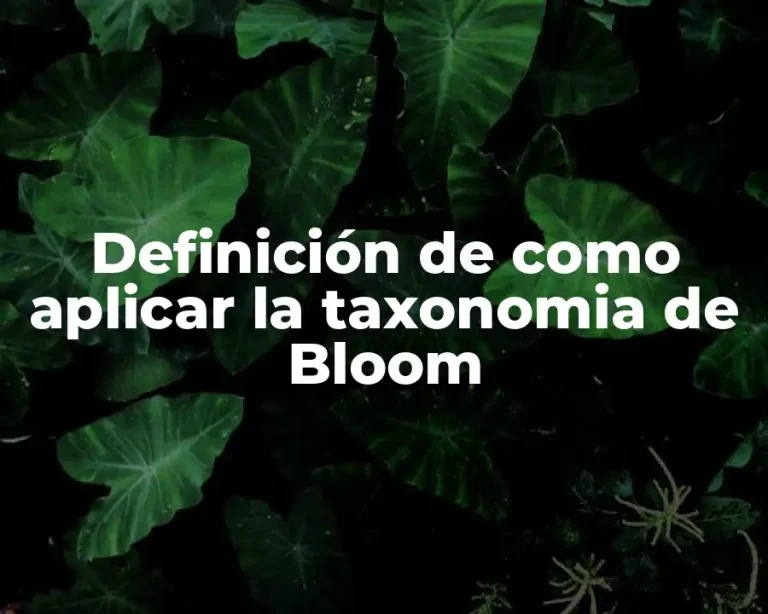 Definición de como aplicar la taxonomia de Bloom