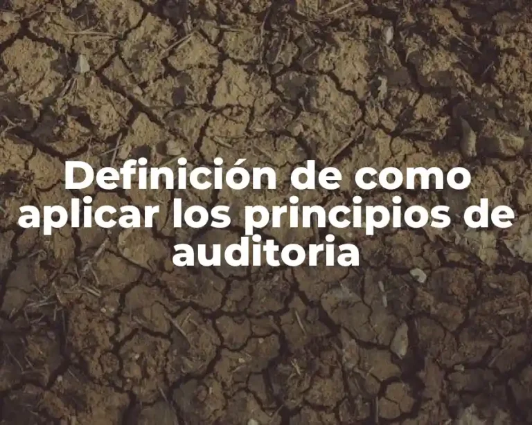 Definición de como aplicar los principios de auditoria